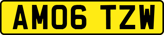 AM06TZW