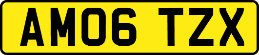 AM06TZX