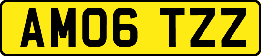 AM06TZZ