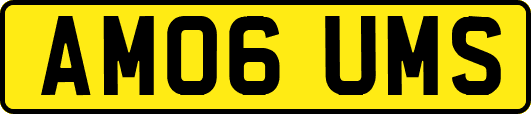 AM06UMS