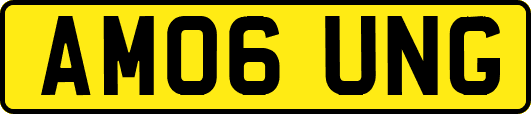 AM06UNG