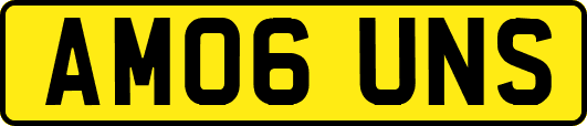 AM06UNS