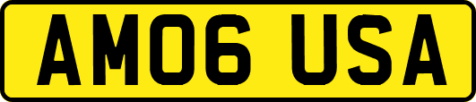 AM06USA