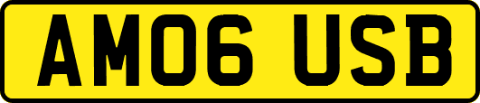 AM06USB