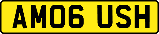 AM06USH