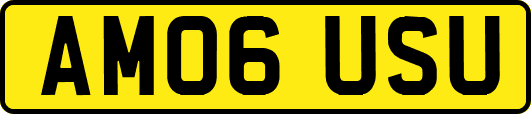 AM06USU