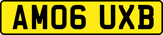 AM06UXB