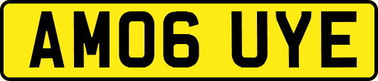 AM06UYE