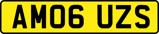 AM06UZS