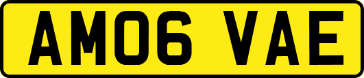 AM06VAE