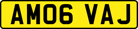 AM06VAJ