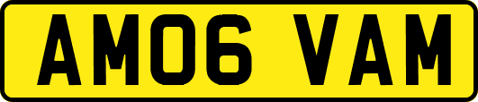 AM06VAM
