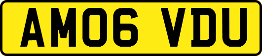 AM06VDU