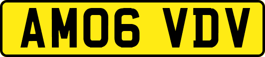 AM06VDV