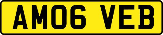 AM06VEB