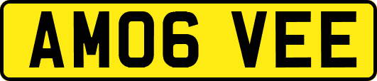 AM06VEE