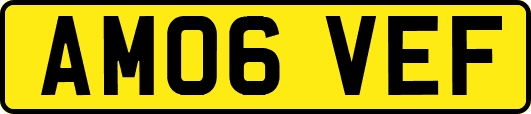 AM06VEF