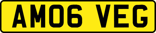 AM06VEG