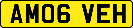 AM06VEH