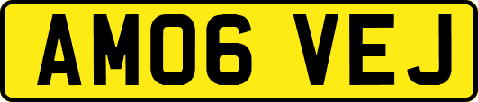 AM06VEJ