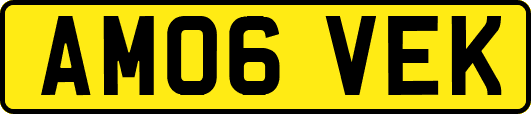 AM06VEK