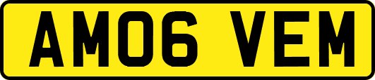 AM06VEM