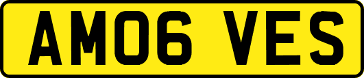 AM06VES