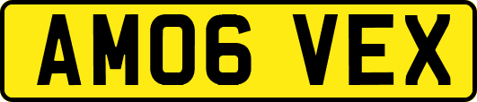 AM06VEX