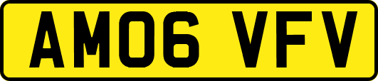 AM06VFV