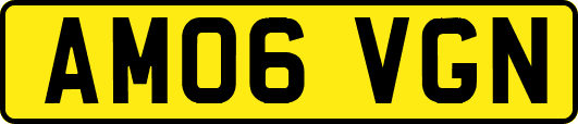 AM06VGN