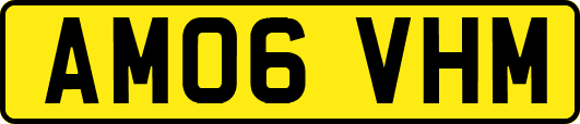 AM06VHM
