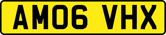 AM06VHX