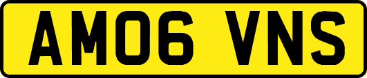 AM06VNS