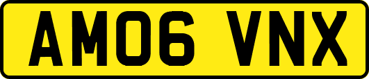 AM06VNX