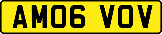 AM06VOV
