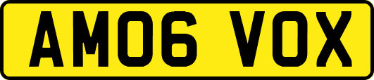 AM06VOX