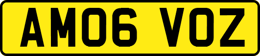 AM06VOZ