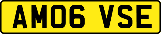 AM06VSE