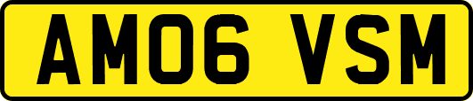 AM06VSM