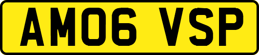 AM06VSP