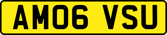 AM06VSU