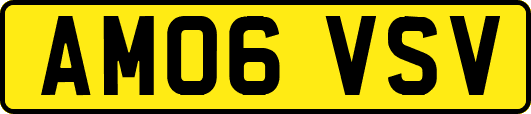 AM06VSV