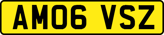 AM06VSZ