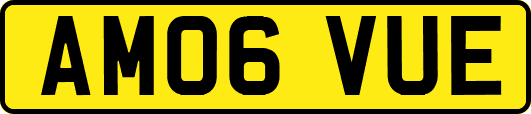AM06VUE