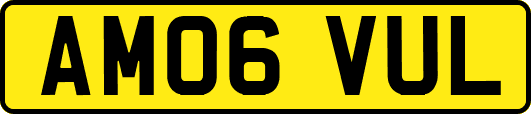 AM06VUL