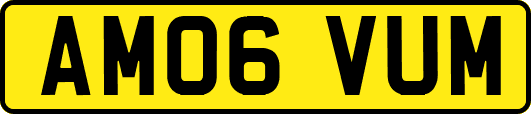 AM06VUM