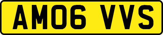 AM06VVS