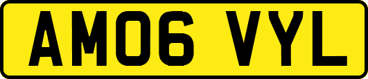 AM06VYL