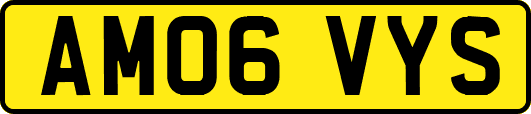 AM06VYS