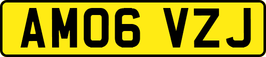 AM06VZJ